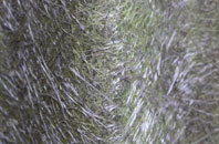 Burscough Bridge fibreglass roof work